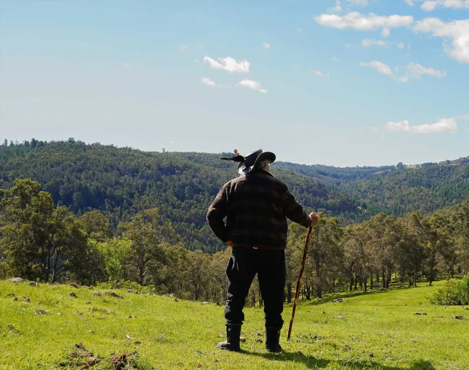 Standing on Country, looking out over bushland and hills